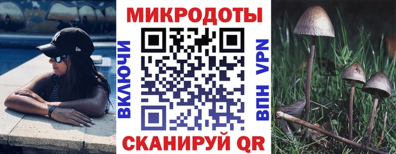 Галлюциногенные грибы Psilocybe Бузулук